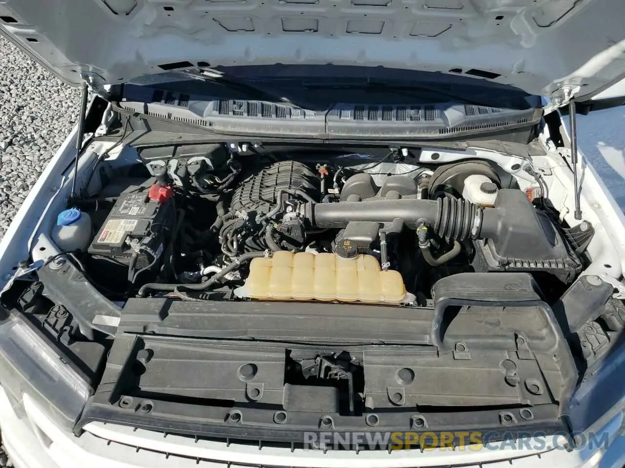 12 fotografías del automóvil dañado 1FTMF1CB9KKE21516 FORD All Models 2019
