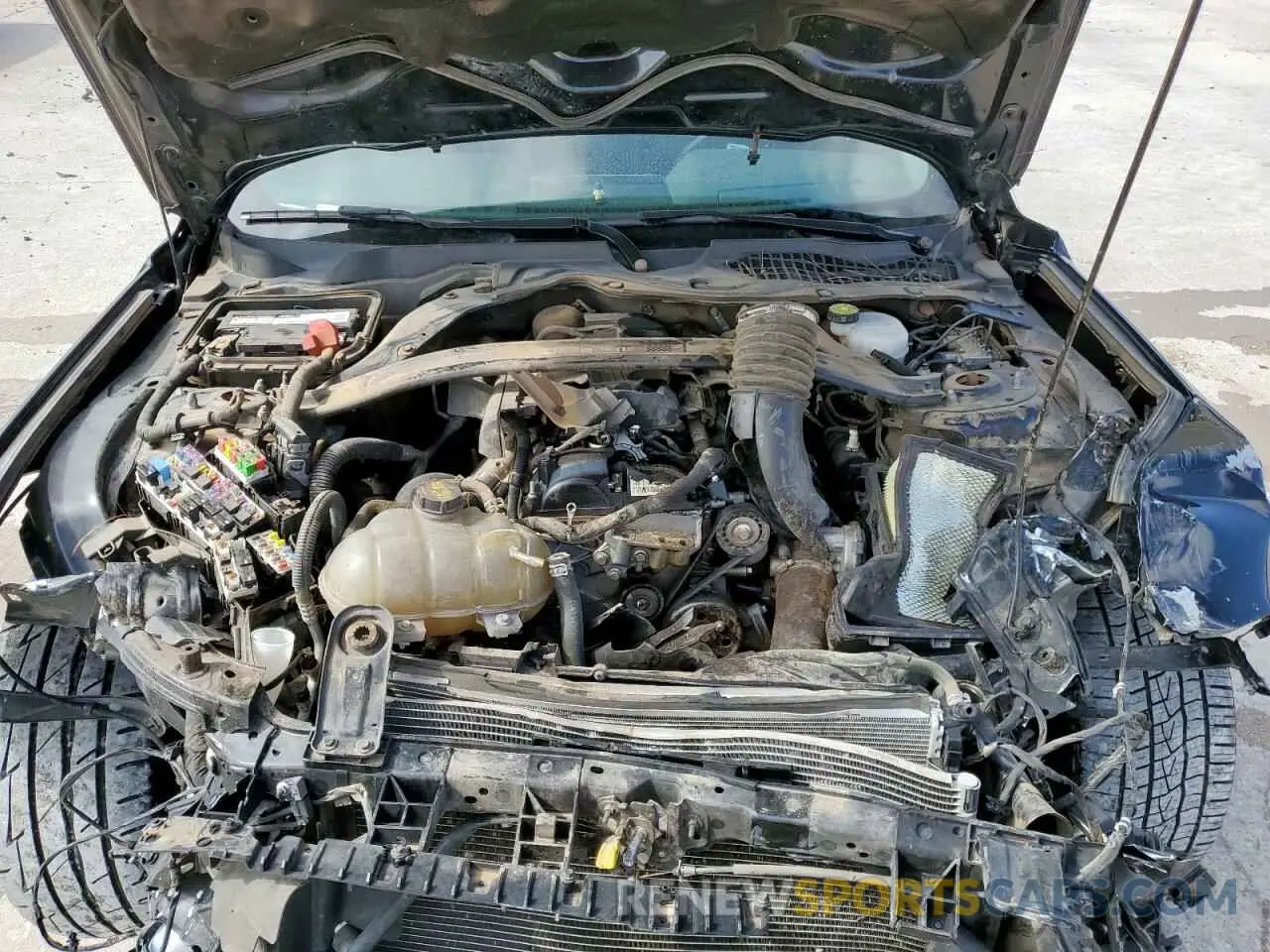 11 fotografías del automóvil dañado 1FA6P8TD4L5124482 FORD ALL Models 2020