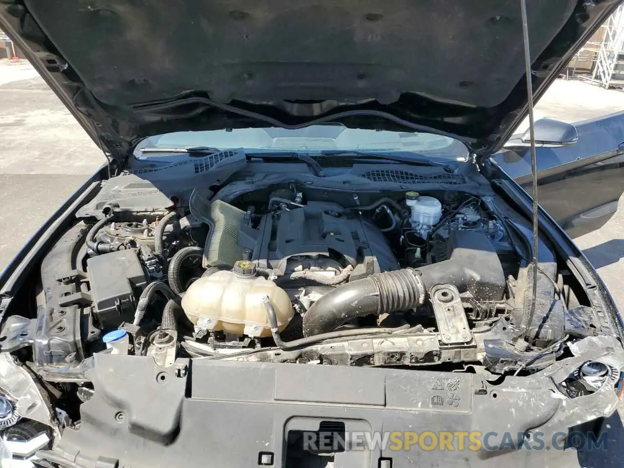 13 fotografías del automóvil dañado 1FA6P8TH0L5136552 FORD ALL Models 2020
