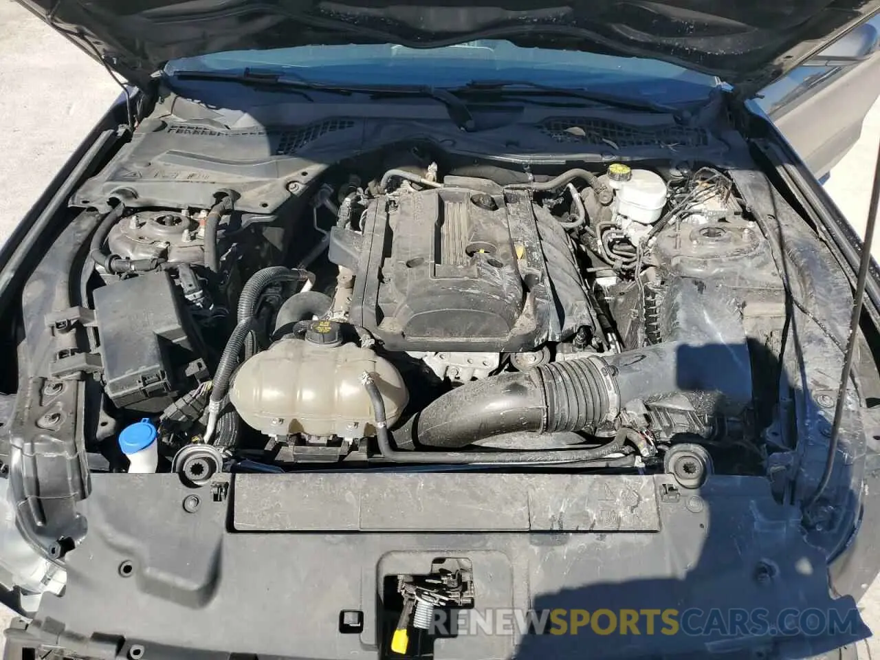 13 fotografías del automóvil dañado 1FA6P8TH0L5187307 FORD ALL Models 2020