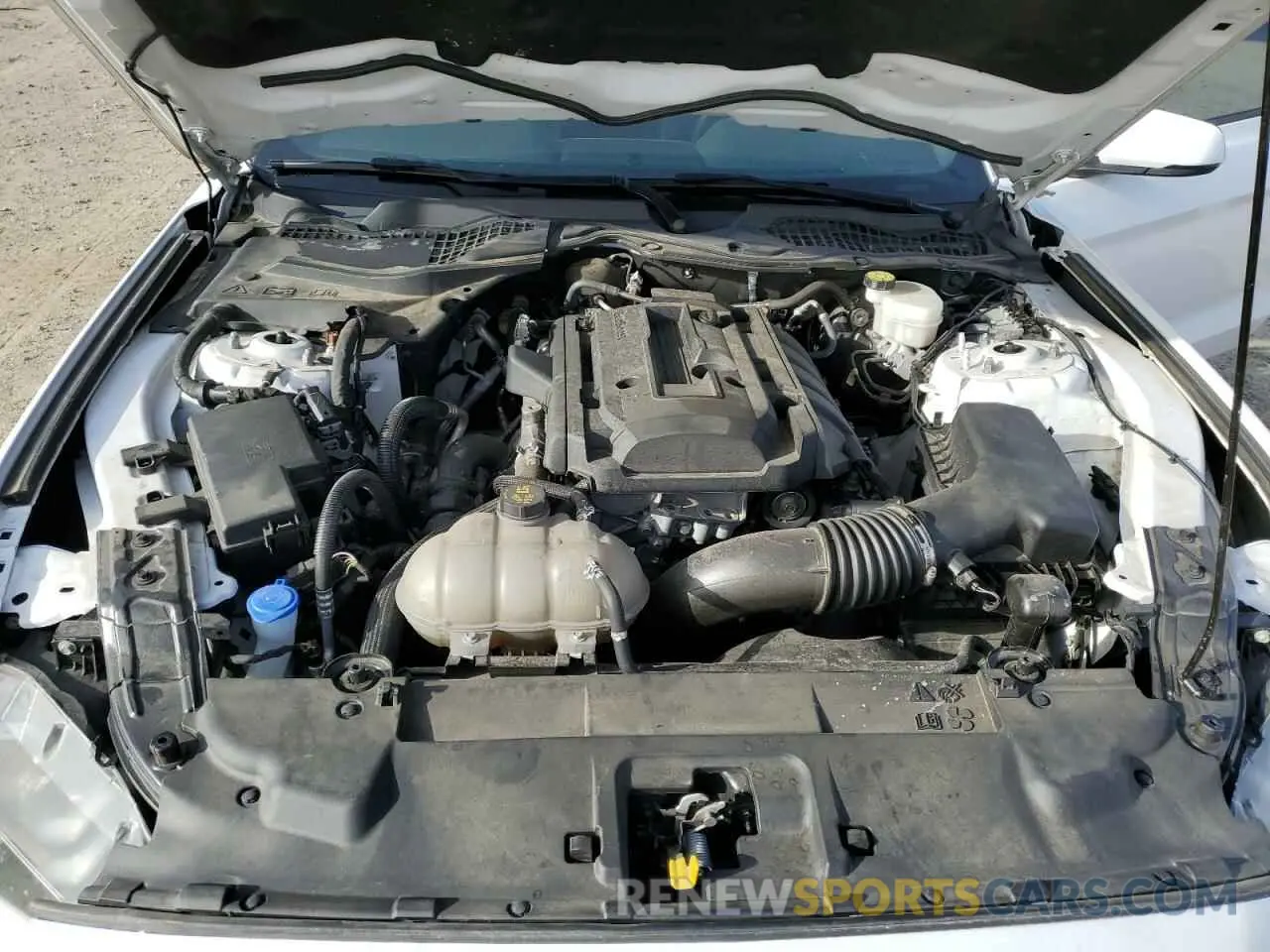 11 fotografías del automóvil dañado 1FA6P8TH2L5173067 FORD ALL Models 2020