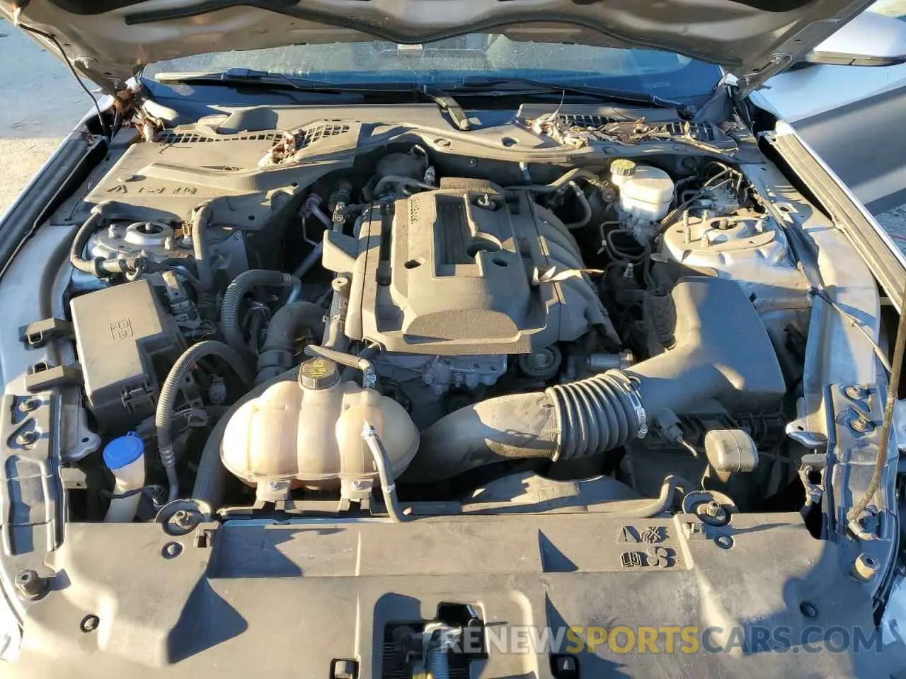 11 fotografías del automóvil dañado 1FA6P8TH7L5138766 FORD ALL Models 2020
