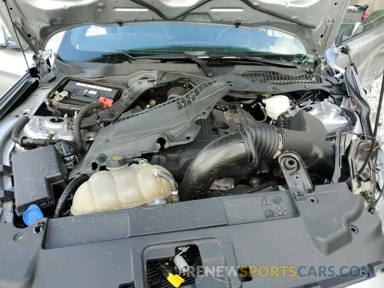 12 fotografías del automóvil dañado 1FA6P8TH7L5190401 FORD ALL Models 2020