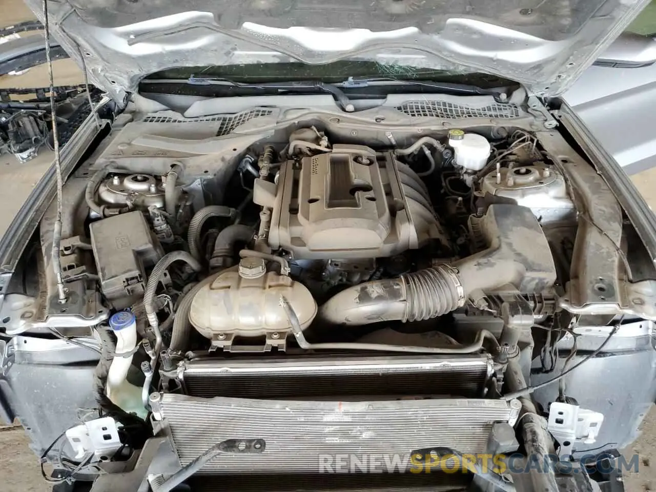 11 fotografías del automóvil dañado 1FA6P8THXL5130726 FORD ALL Models 2020