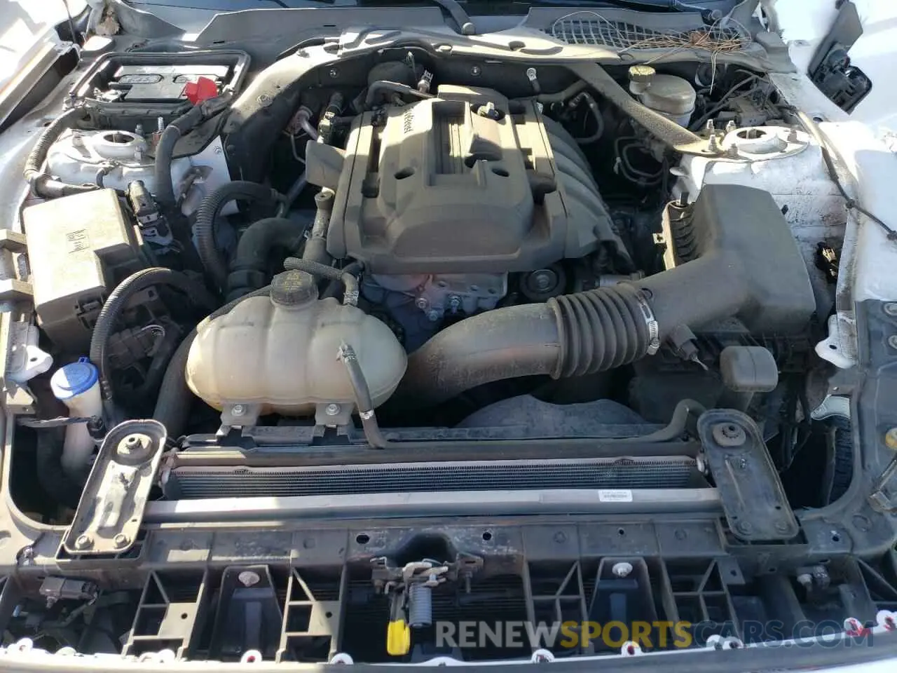 11 fotografías del automóvil dañado 1FATP8UH0L5137766 FORD ALL Models 2020