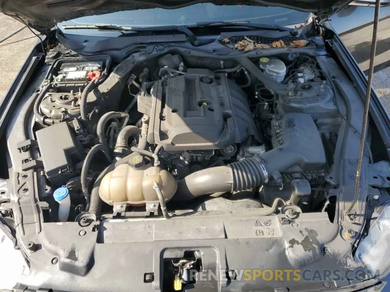 11 fotografías del automóvil dañado 1FATP8UH4L5113308 FORD ALL Models 2020