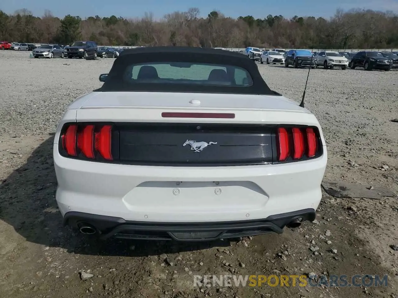 6 fotografías del automóvil dañado 1FATP8UH5L5137374 FORD ALL Models 2020