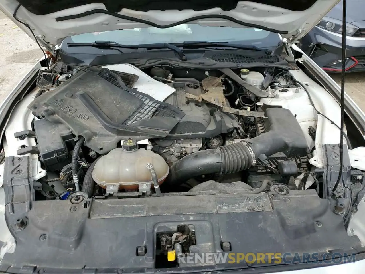 13 fotografías del automóvil dañado 1FATP8UHXL5113250 FORD ALL Models 2020
