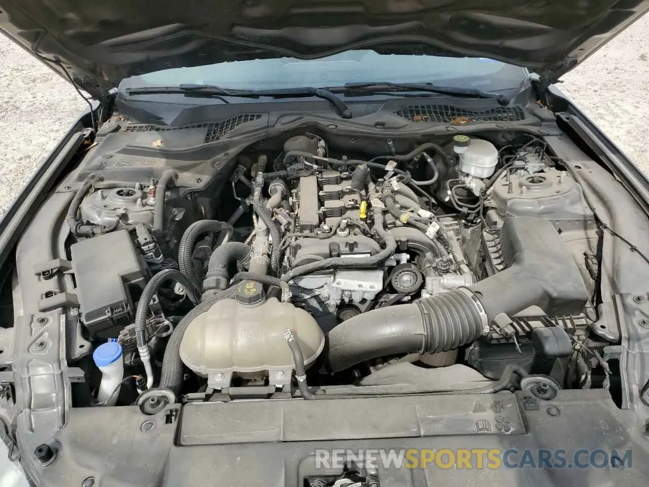 11 fotografías del automóvil dañado 1FA6P8TH0M5108512 FORD ALL Models 2021