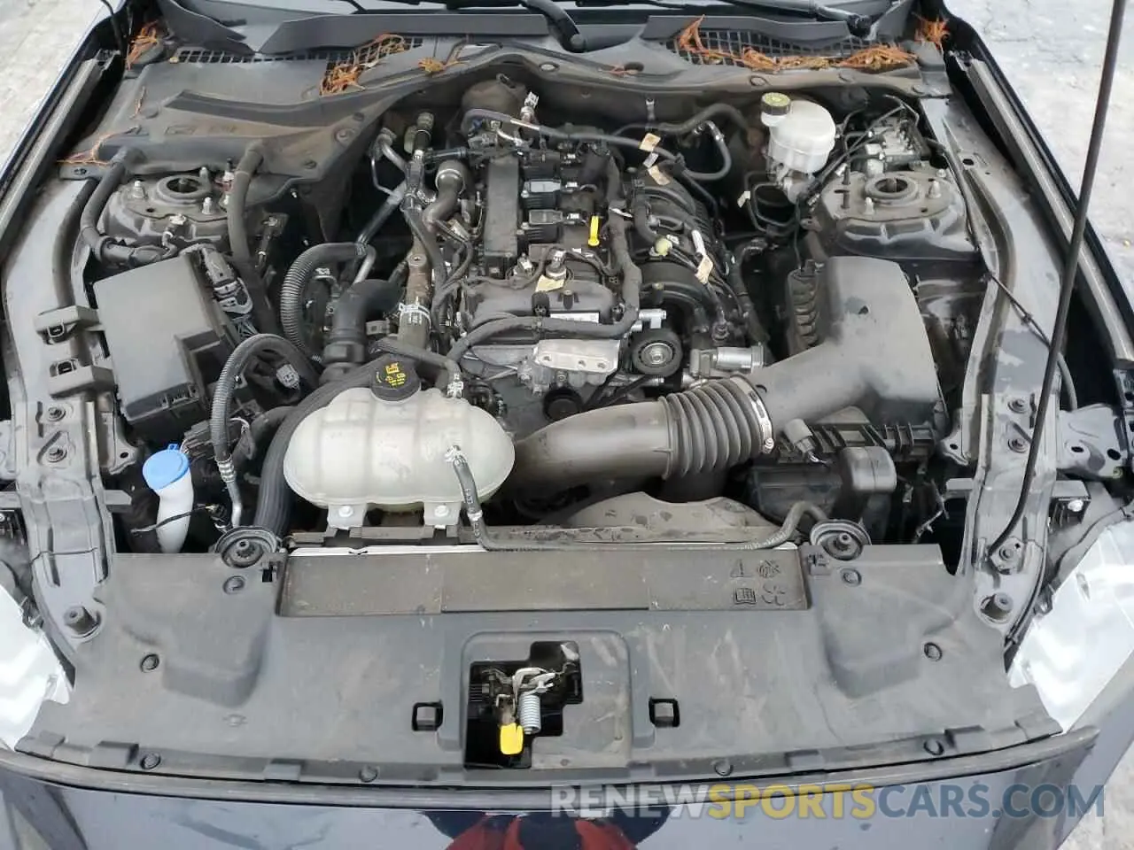 11 fotografías del automóvil dañado 1FA6P8TH5M5107839 FORD ALL Models 2021