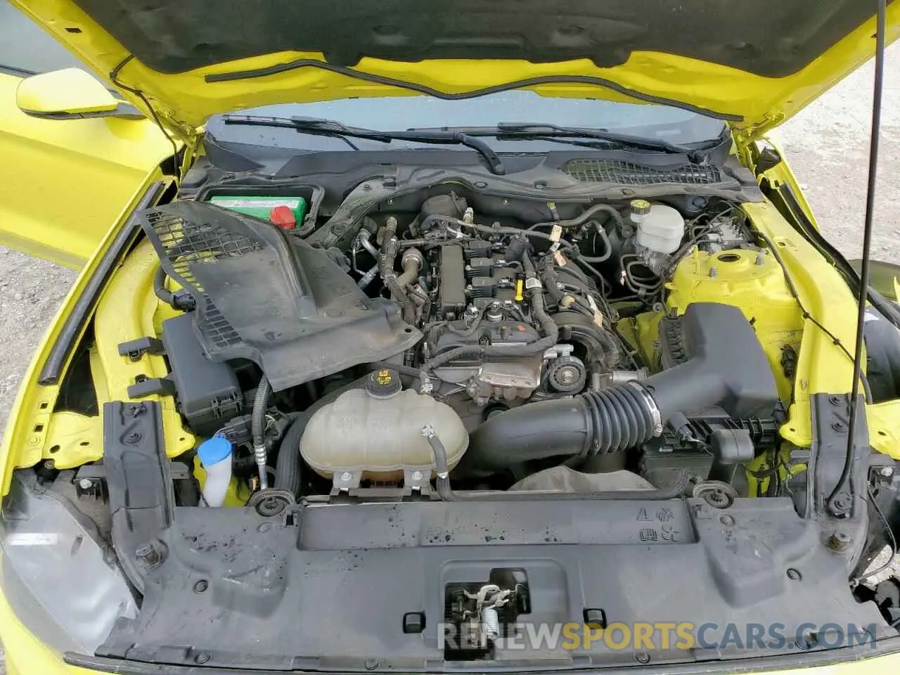 13 fotografías del automóvil dañado 1FA6P8TH5M5152165 FORD ALL Models 2021