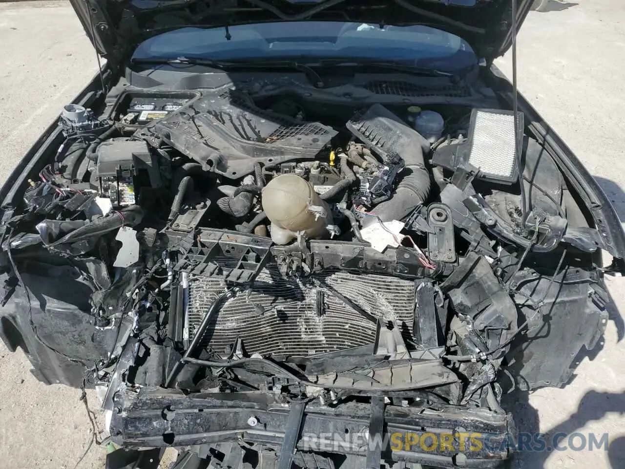 13 fotografías del automóvil dañado 1FA6P8TH7M5126618 FORD ALL Models 2021