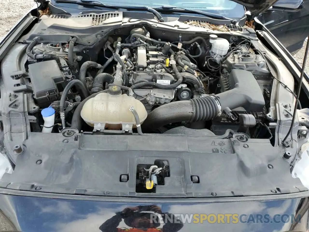 11 fotografías del automóvil dañado 1FA6P8THXM5102166 FORD ALL Models 2021