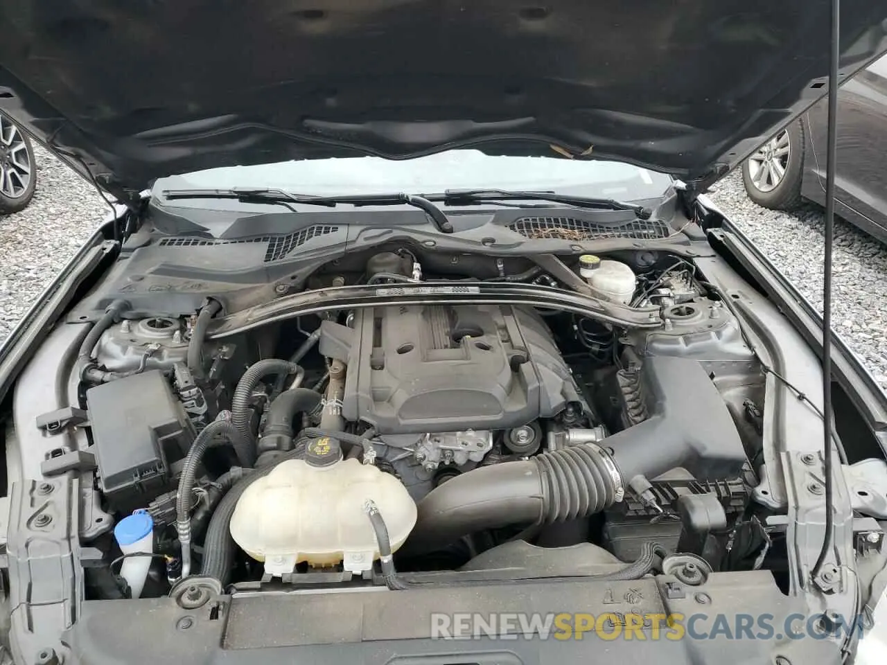 11 fotografías del automóvil dañado 1FATP8UD0M5150323 FORD ALL Models 2021