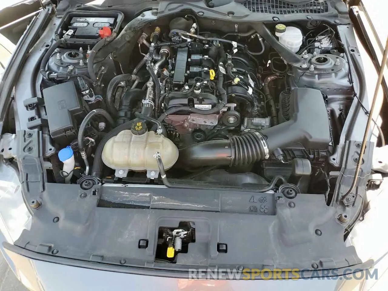 11 fotografías del automóvil dañado 1FATP8UH1M5101862 FORD ALL Models 2021