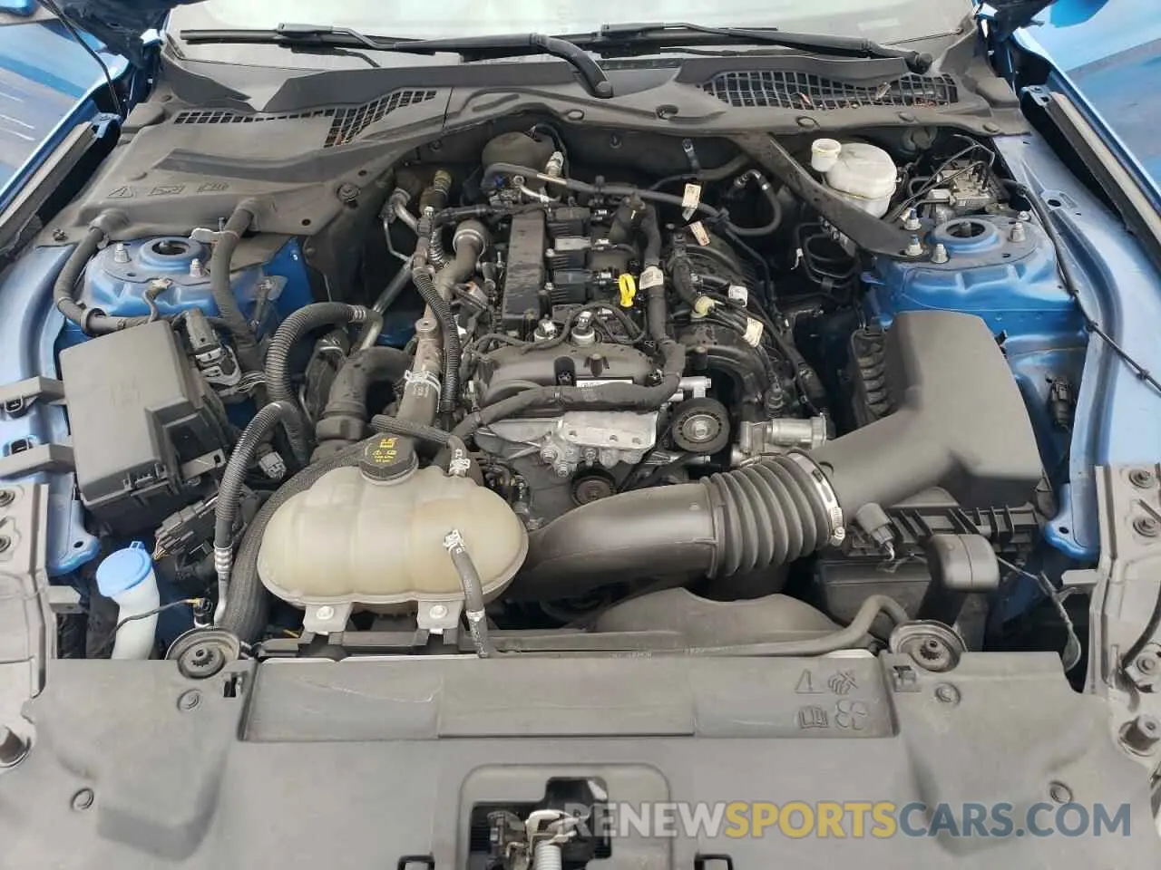 13 fotografías del automóvil dañado 1FATP8UH4M5116128 FORD ALL Models 2021