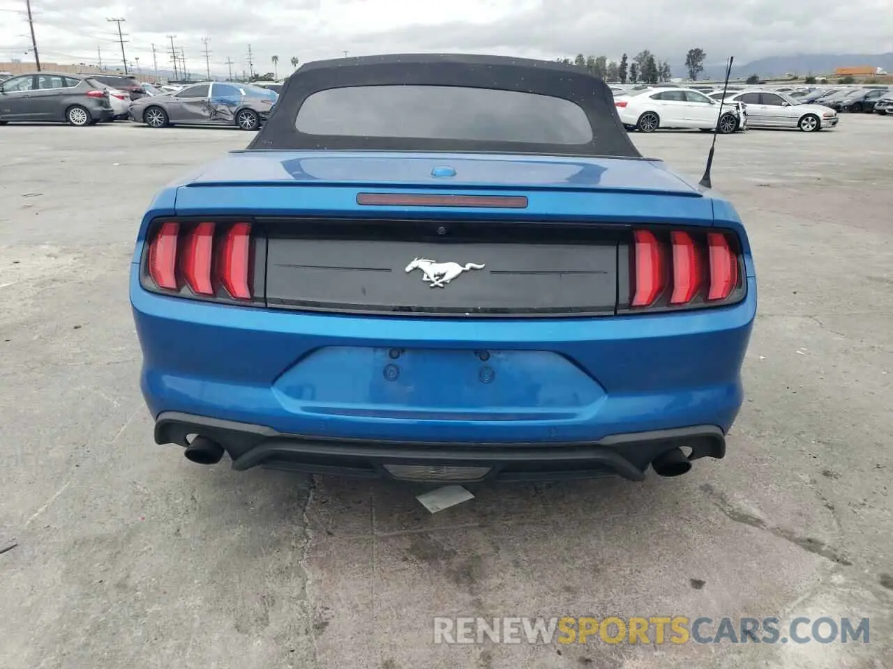 6 fotografías del automóvil dañado 1FATP8UH4M5116128 FORD ALL Models 2021