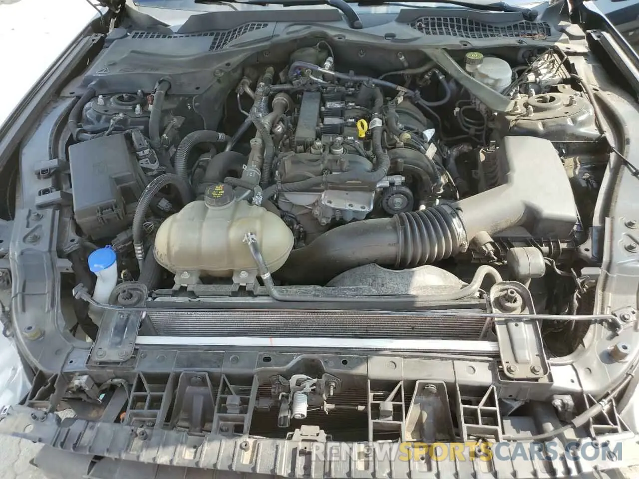 11 fotografías del automóvil dañado 1FATP8UH5M5120737 FORD ALL Models 2021