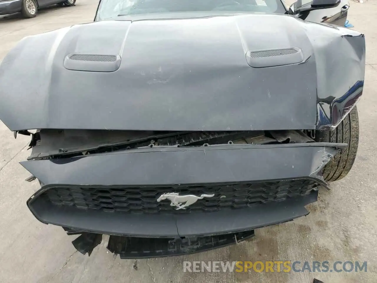 12 fotografías del automóvil dañado 1FATP8UH5M5124884 FORD ALL Models 2021