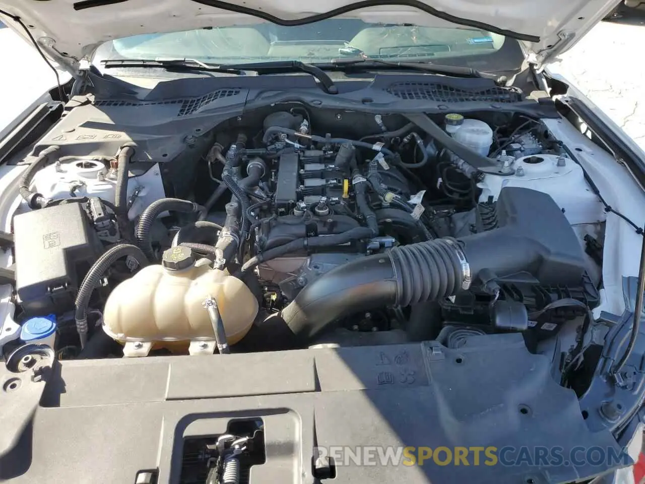 11 fotografías del automóvil dañado 1FATP8UH6M5115885 FORD ALL Models 2021
