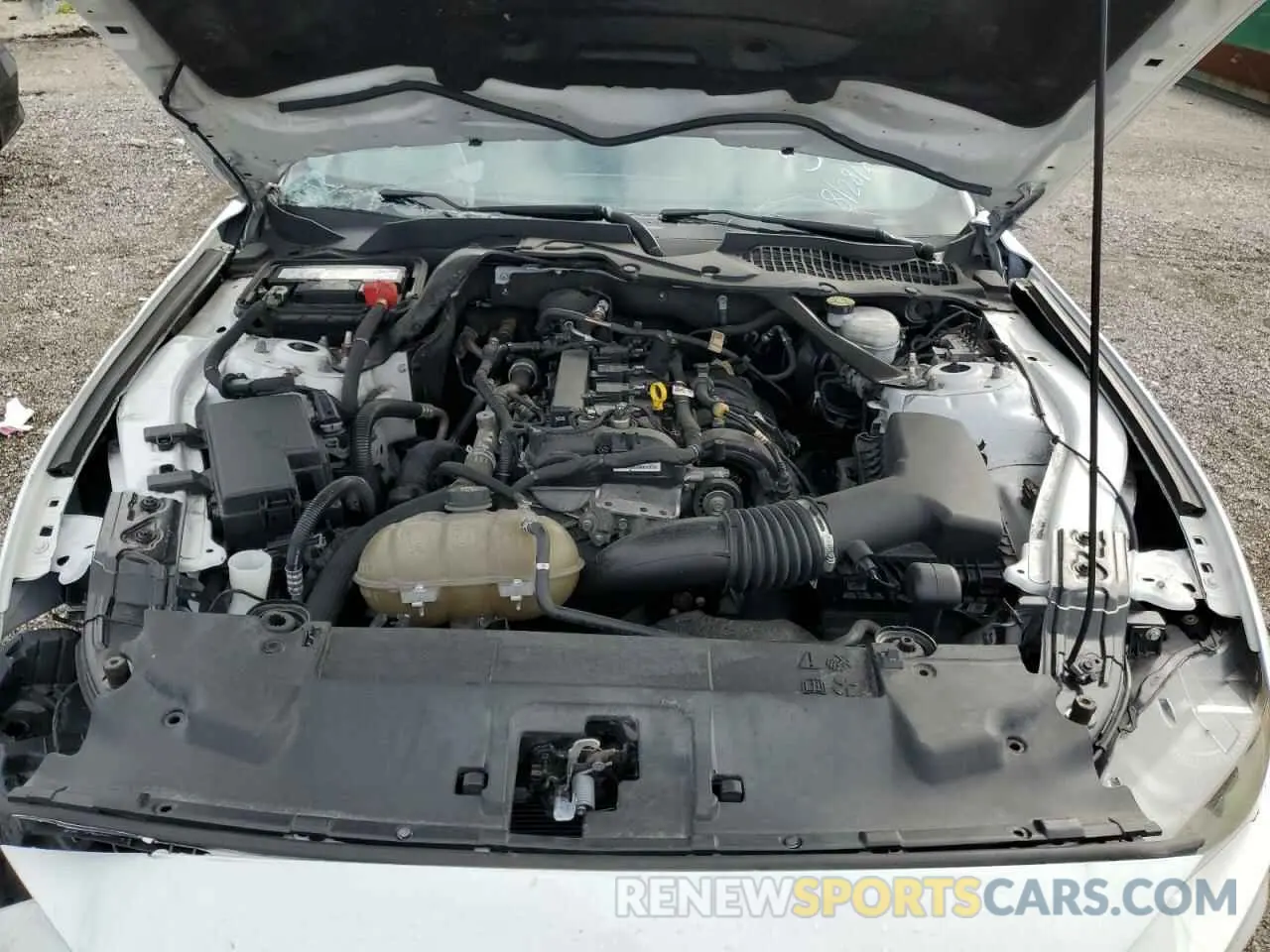 11 fotografías del automóvil dañado 1FATP8UH9M5105898 FORD ALL Models 2021