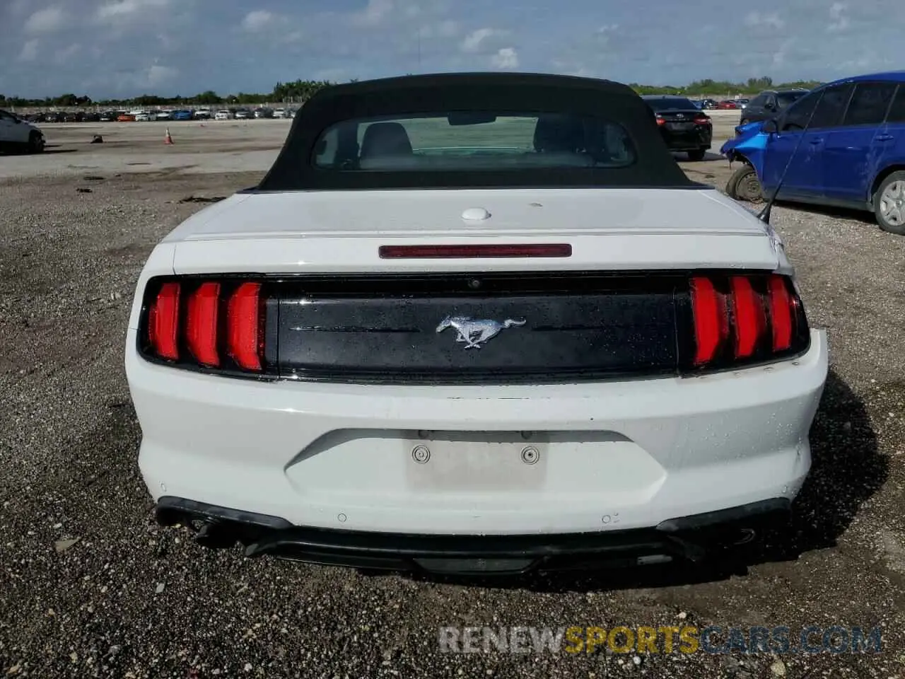 6 fotografías del automóvil dañado 1FATP8UH9M5105898 FORD ALL Models 2021