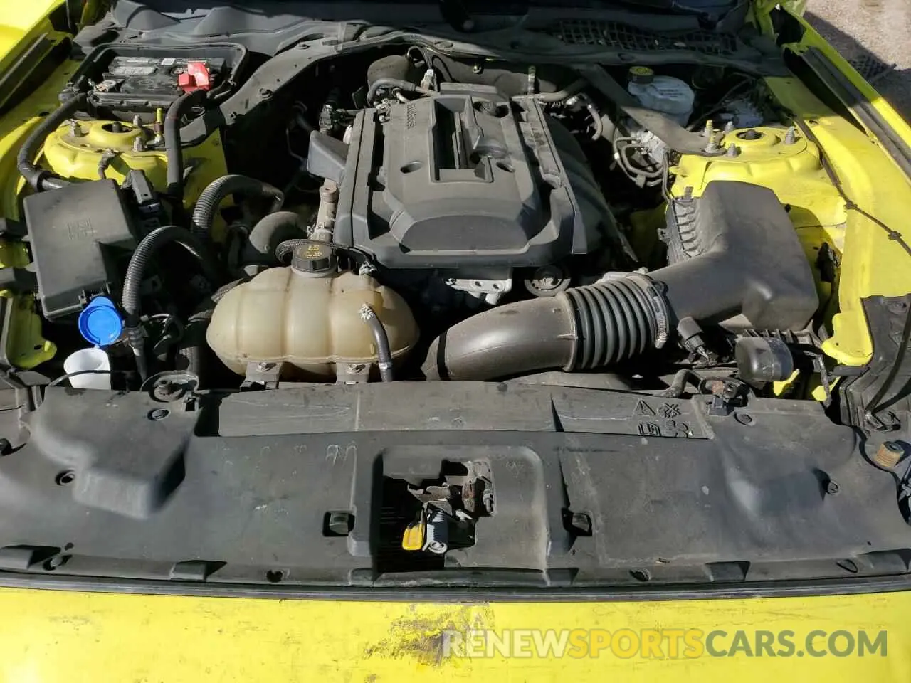 11 fotografías del automóvil dañado 1FATP8UH9M5108350 FORD ALL Models 2021