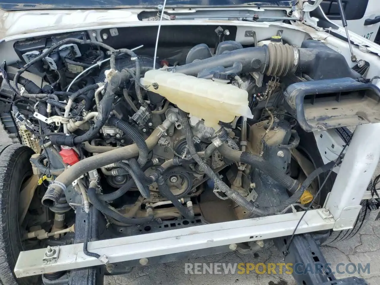 11 fotografías del automóvil dañado 1FTMF1CB7MKD44342 FORD All Models 2021