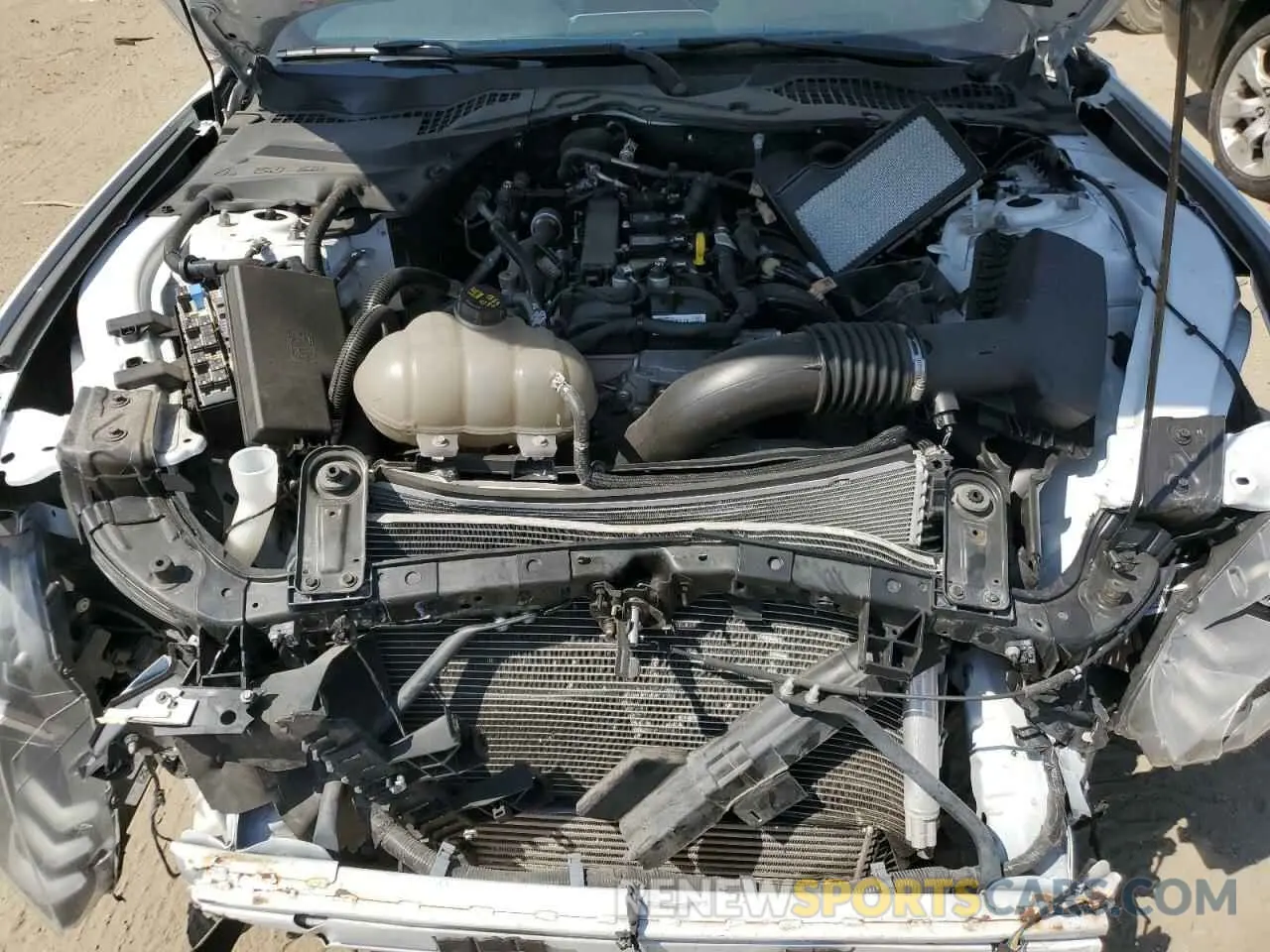 11 fotografías del automóvil dañado 1FA6P8TH1N5100890 FORD ALL Models 2022