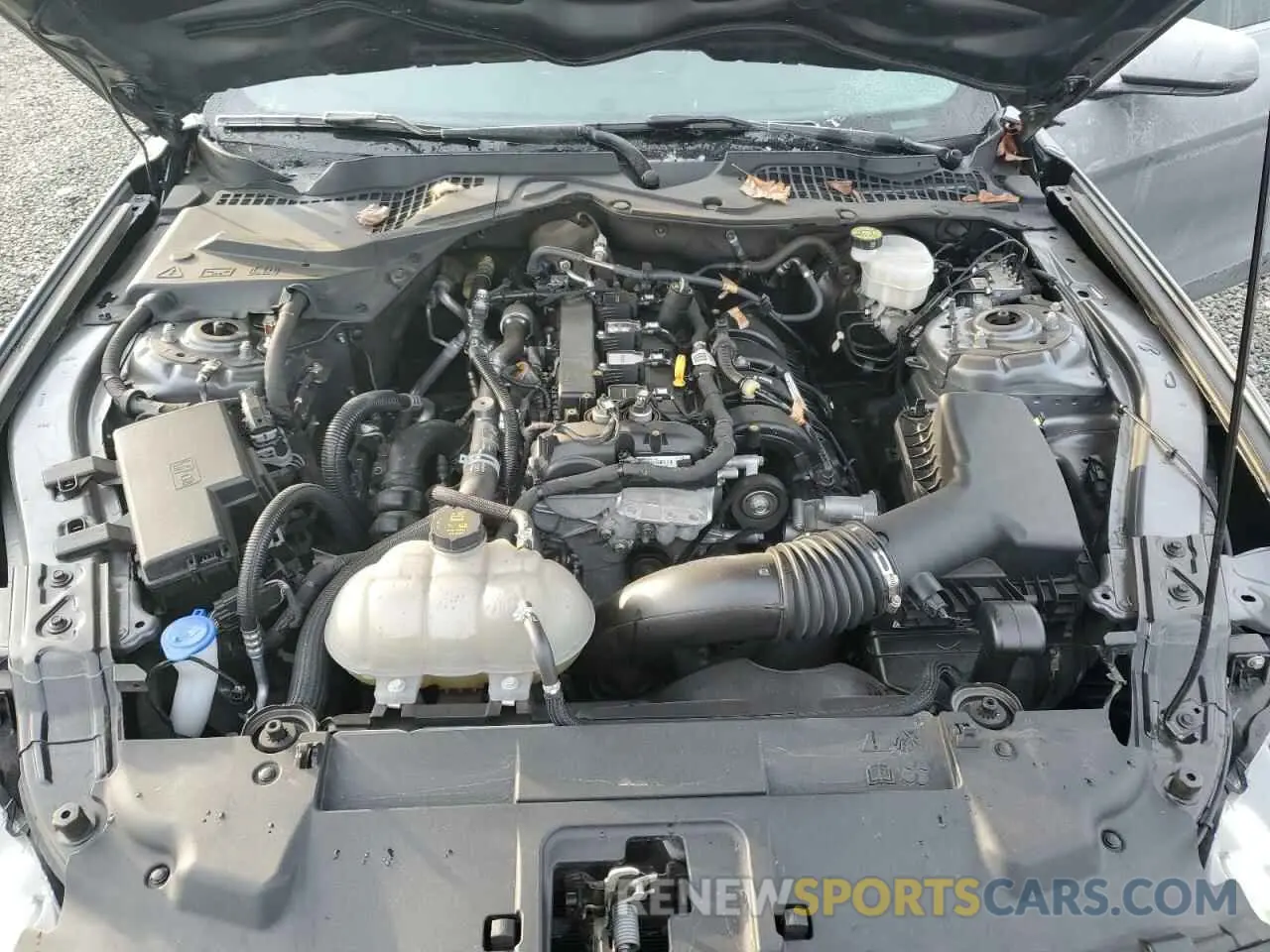 11 fotografías del automóvil dañado 1FA6P8TH1N5135557 FORD ALL Models 2022