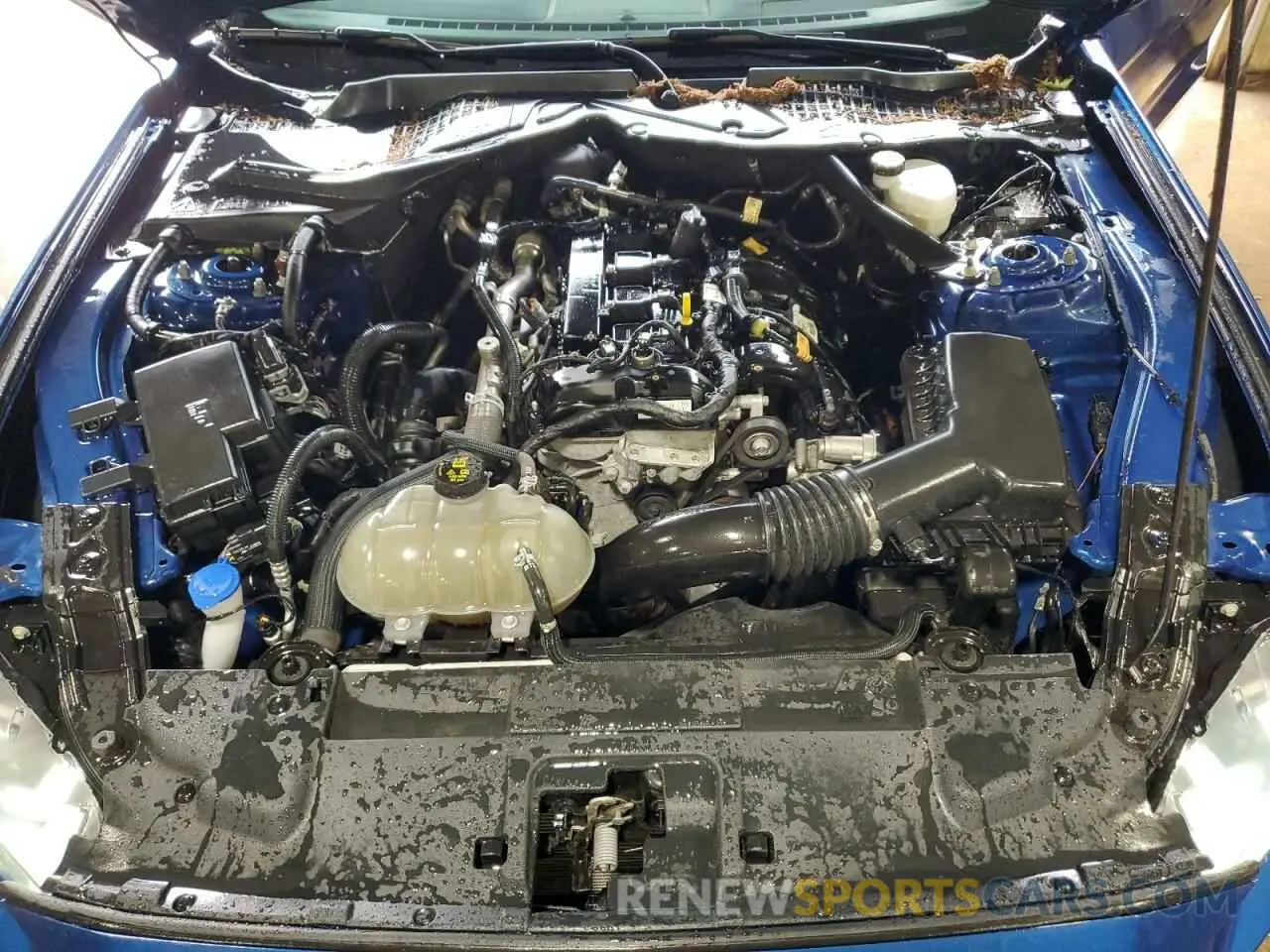 11 fotografías del automóvil dañado 1FATP8UH5N5124675 FORD ALL Models 2022