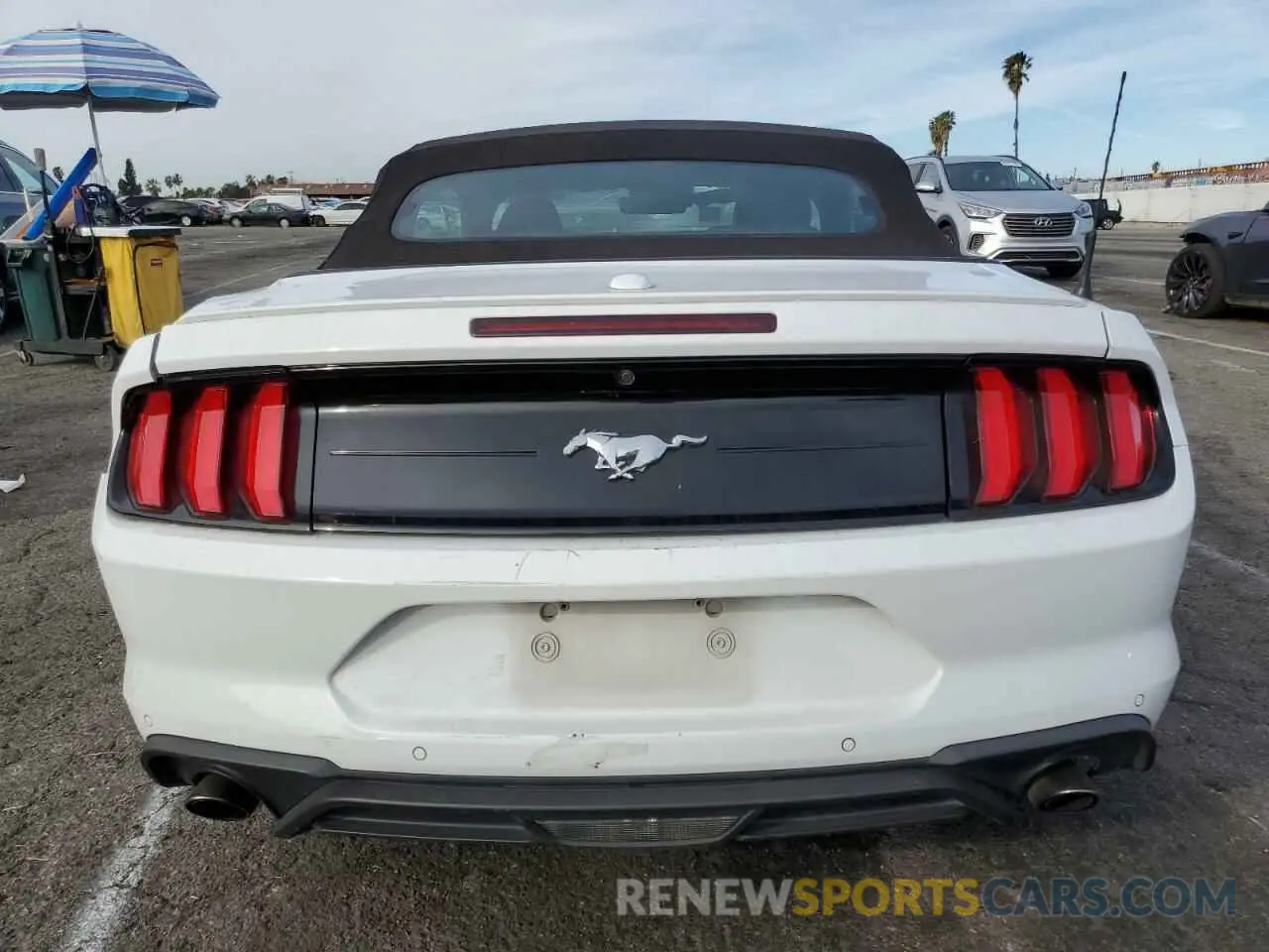 6 fotografías del automóvil dañado 1FATP8UH8N5100869 FORD ALL Models 2022