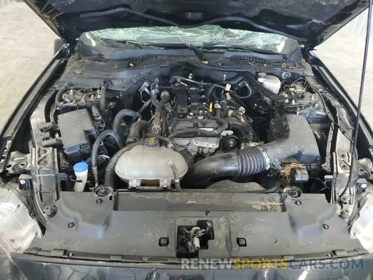 11 fotografías del automóvil dañado 1FATP8UH4P5109930 FORD ALL Models 2023