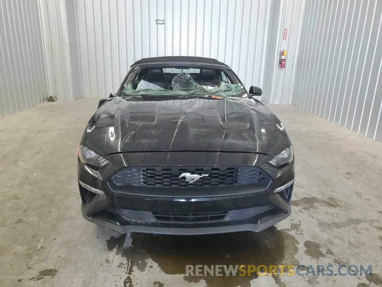 5 fotografías del automóvil dañado 1FATP8UH4P5109930 FORD ALL Models 2023