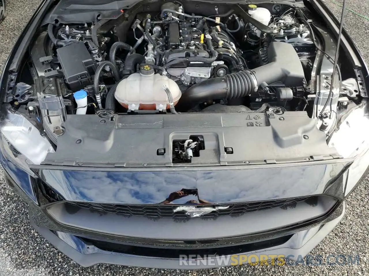 11 fotografías del automóvil dañado 1FATP8UH5P5111475 FORD ALL Models 2023