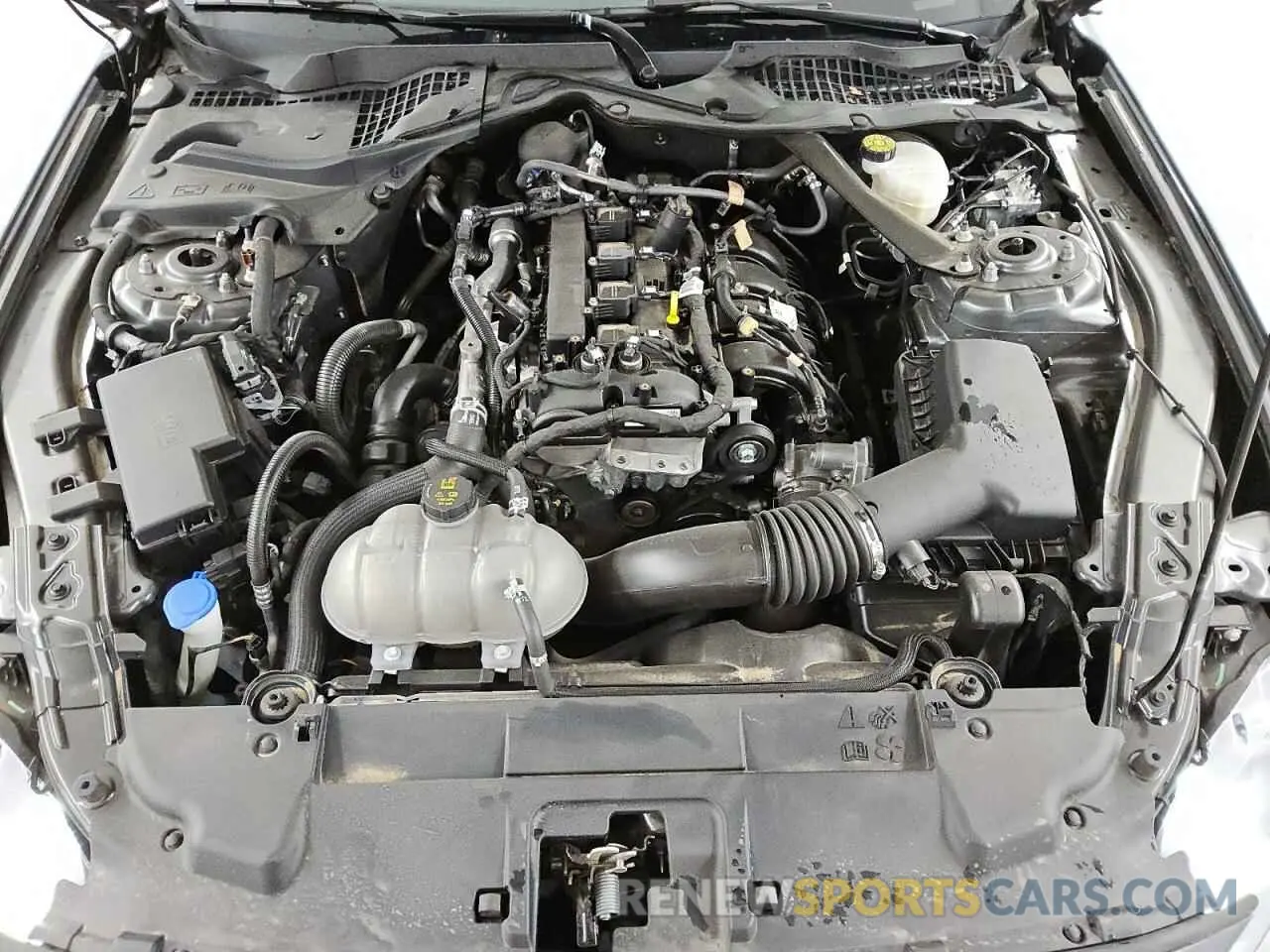 11 fotografías del automóvil dañado 1FATP8UH8P5108456 FORD ALL Models 2023