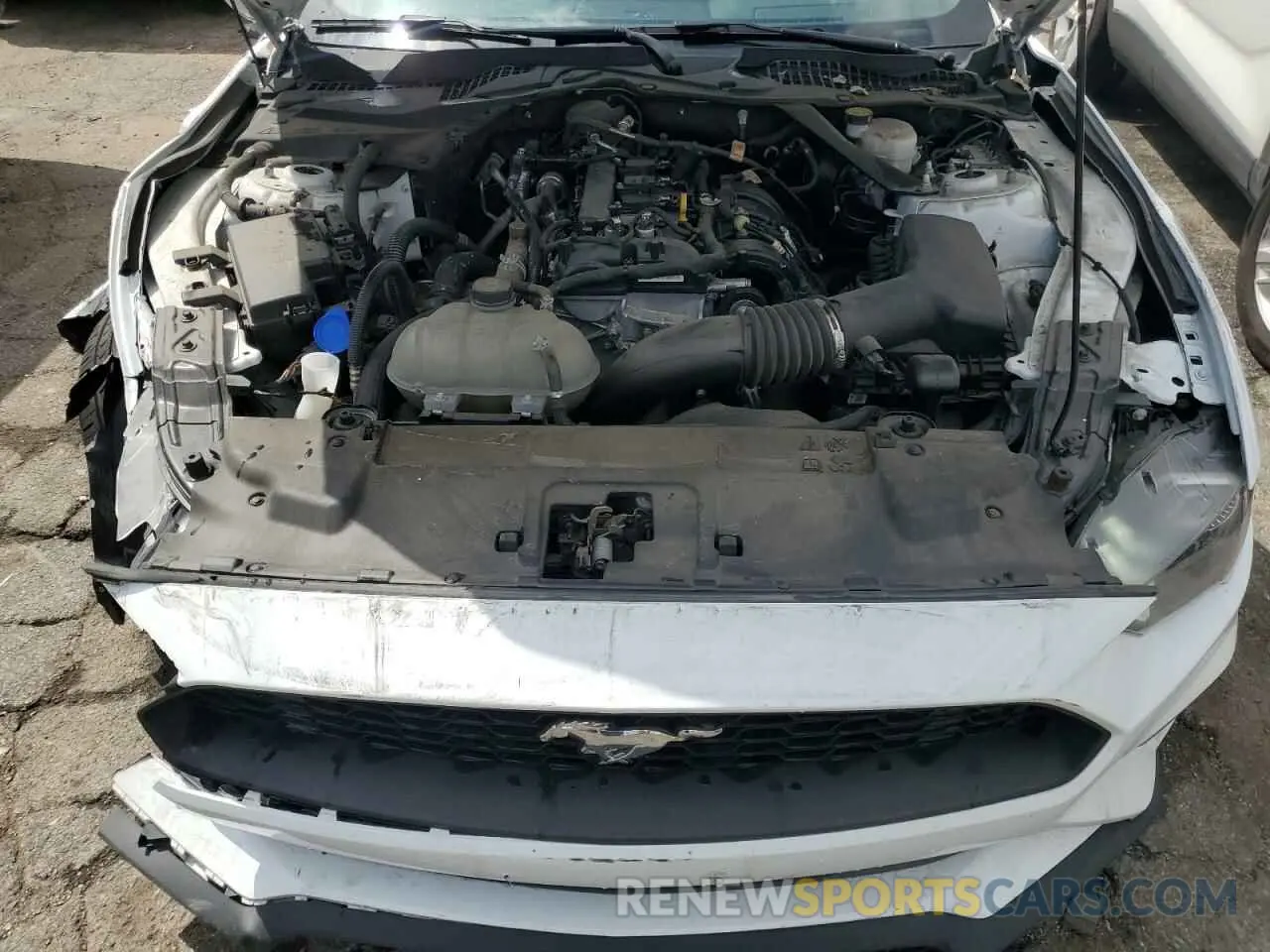 11 fotografías del automóvil dañado 1FATP8UH8P5110787 FORD ALL Models 2023