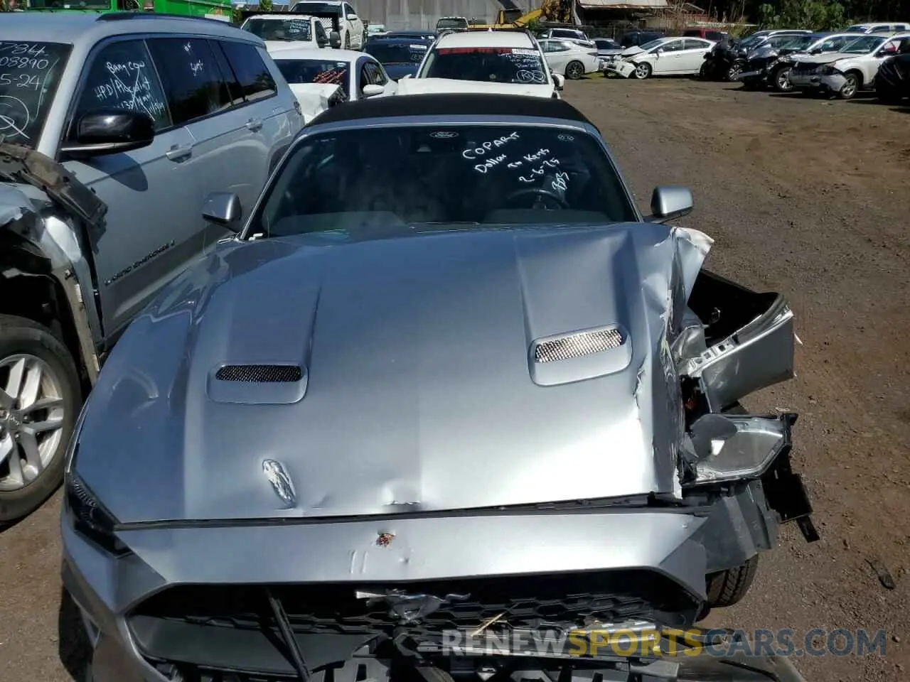 11 fotografías del automóvil dañado 1FATP8UH9P5102603 FORD ALL Models 2023