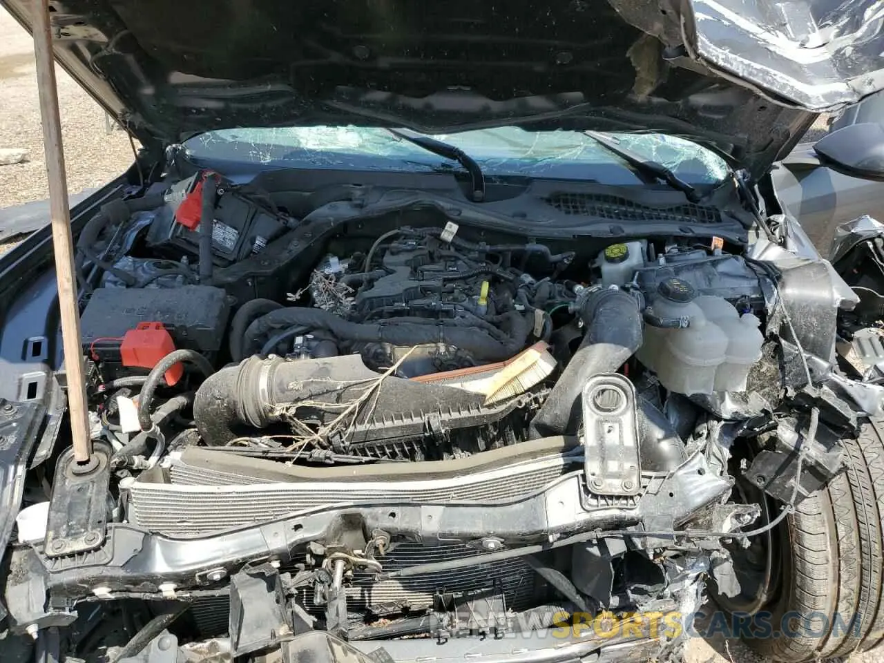 11 fotografías del automóvil dañado 1FA6P8TH0R5111272 FORD ALL Models 2024