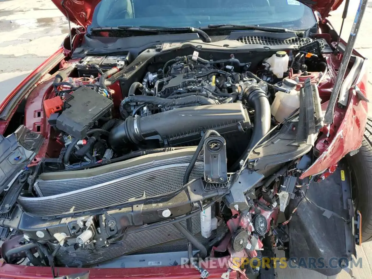 11 fotografías del automóvil dañado 1FA6P8TH2R5136545 FORD ALL Models 2024