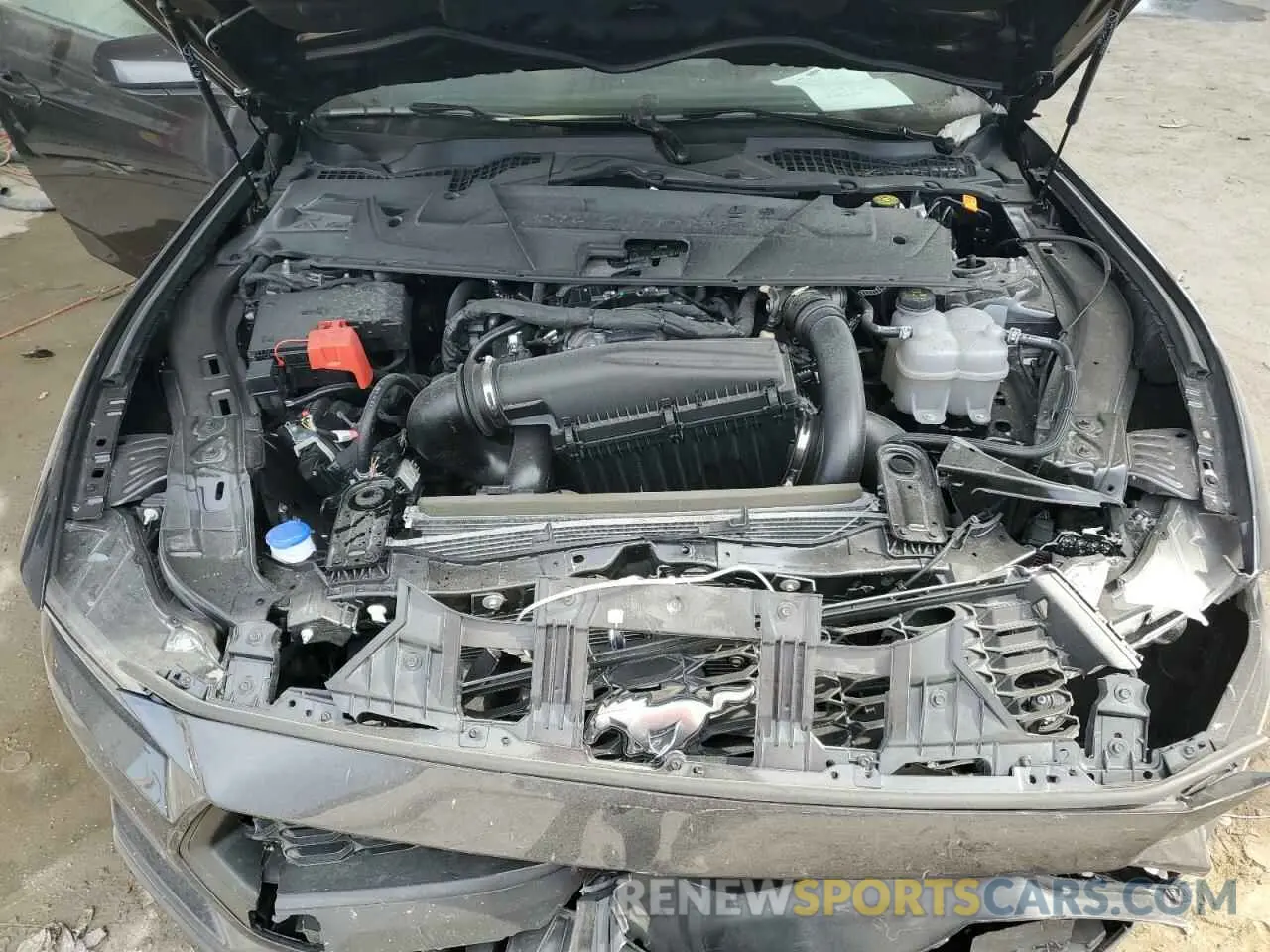 11 fotografías del automóvil dañado 1FA6P8TH2R5140191 FORD ALL Models 2024