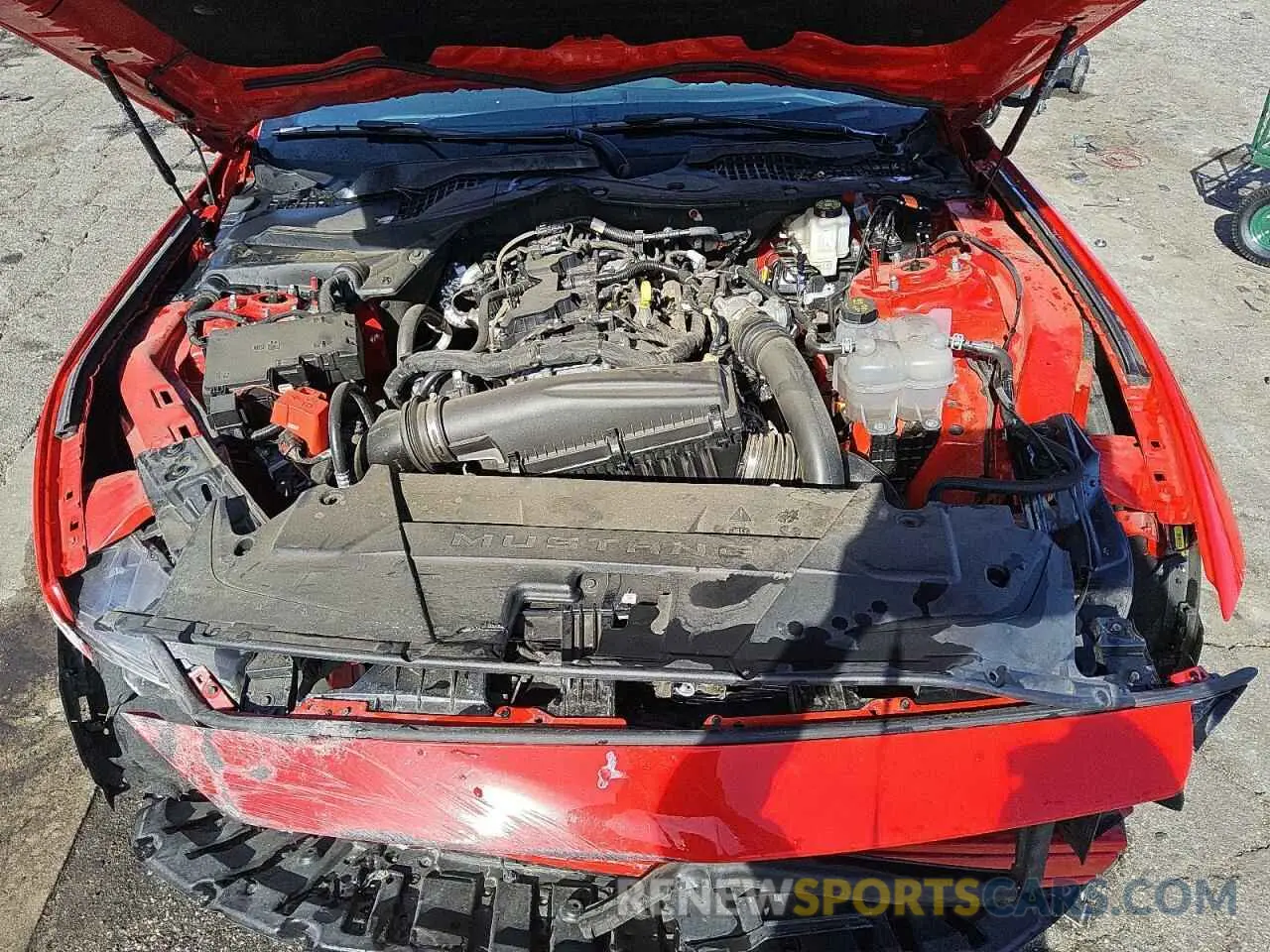 11 fotografías del automóvil dañado 1FA6P8TH3R5120869 FORD ALL Models 2024