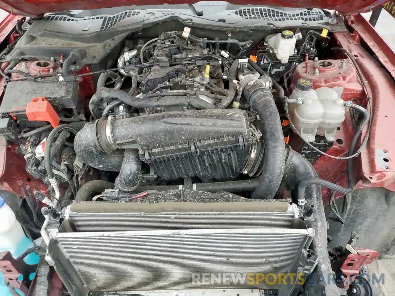 11 fotografías del automóvil dañado 1FA6P8TH3R5121598 FORD ALL Models 2024