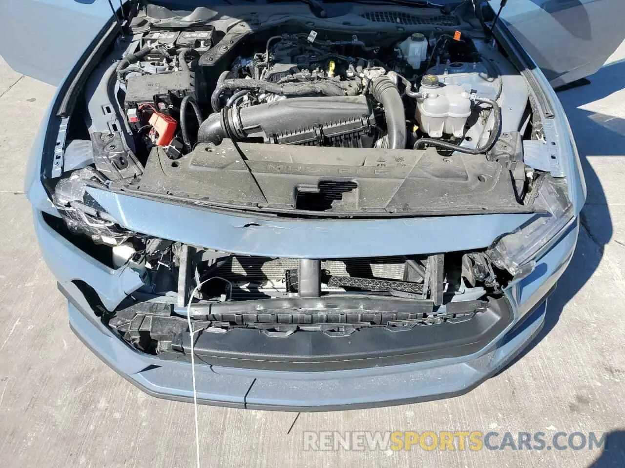 13 fotografías del automóvil dañado 1FA6P8TH3R5137767 FORD ALL Models 2024