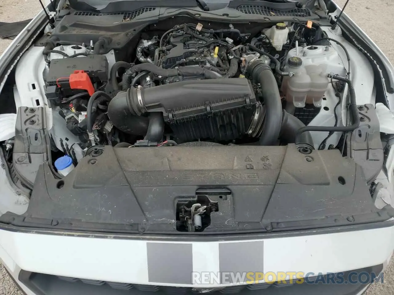 11 fotografías del automóvil dañado 1FA6P8TH4R5105524 FORD ALL Models 2024