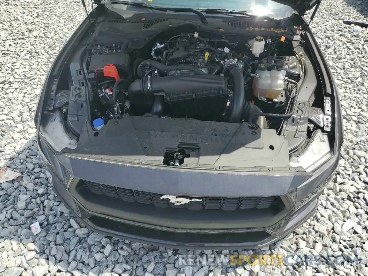 11 fotografías del automóvil dañado 1FA6P8TH4R5111520 FORD ALL Models 2024