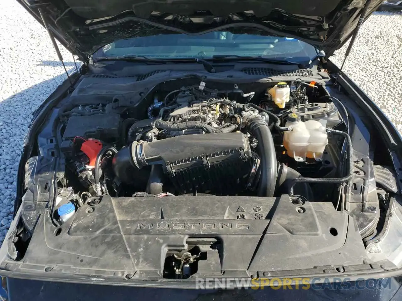 11 fotografías del automóvil dañado 1FA6P8TH5R5108755 FORD ALL Models 2024