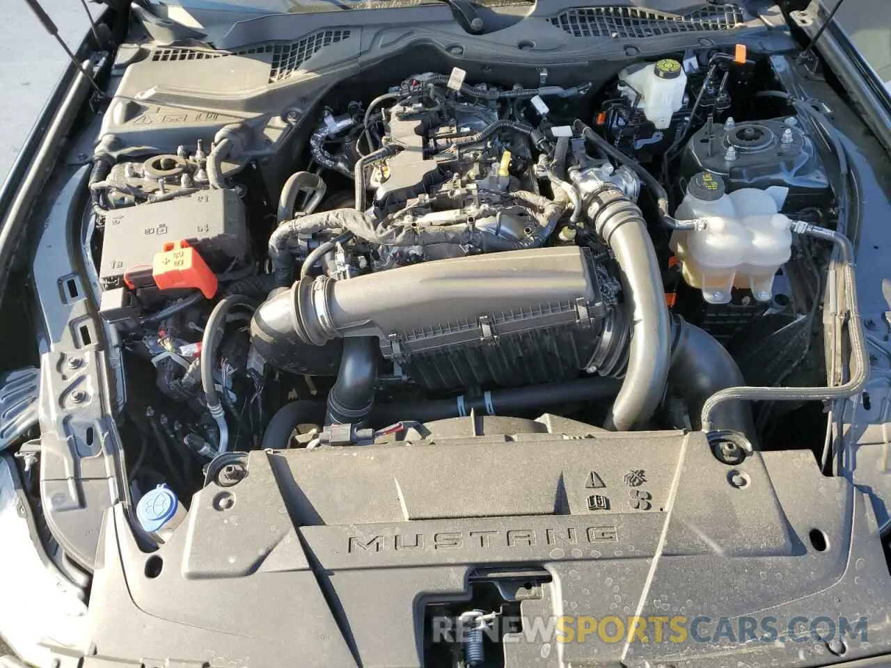 13 fotografías del automóvil dañado 1FA6P8TH5R5118346 FORD ALL Models 2024