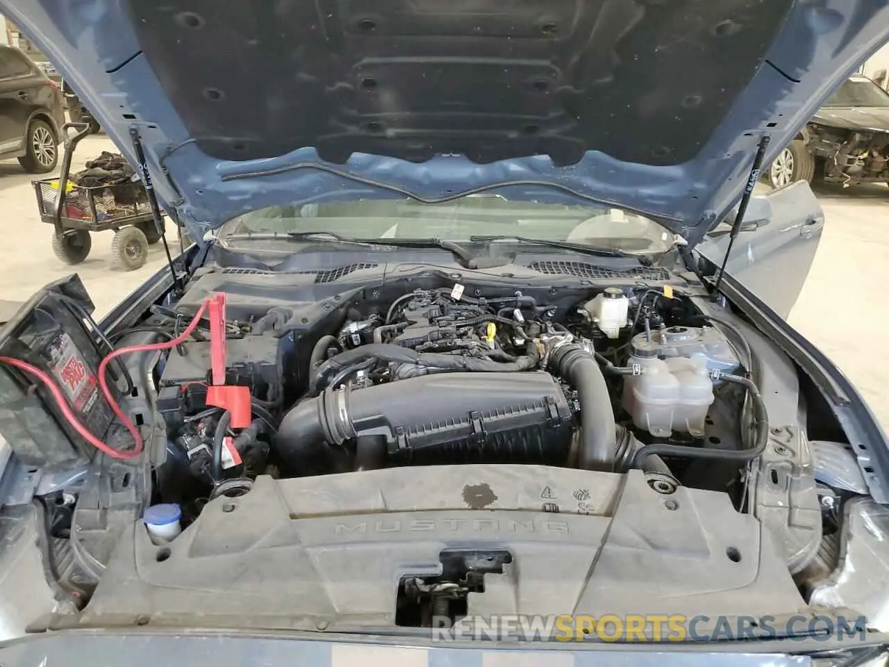 11 fotografías del automóvil dañado 1FA6P8TH6R5127413 FORD ALL Models 2024
