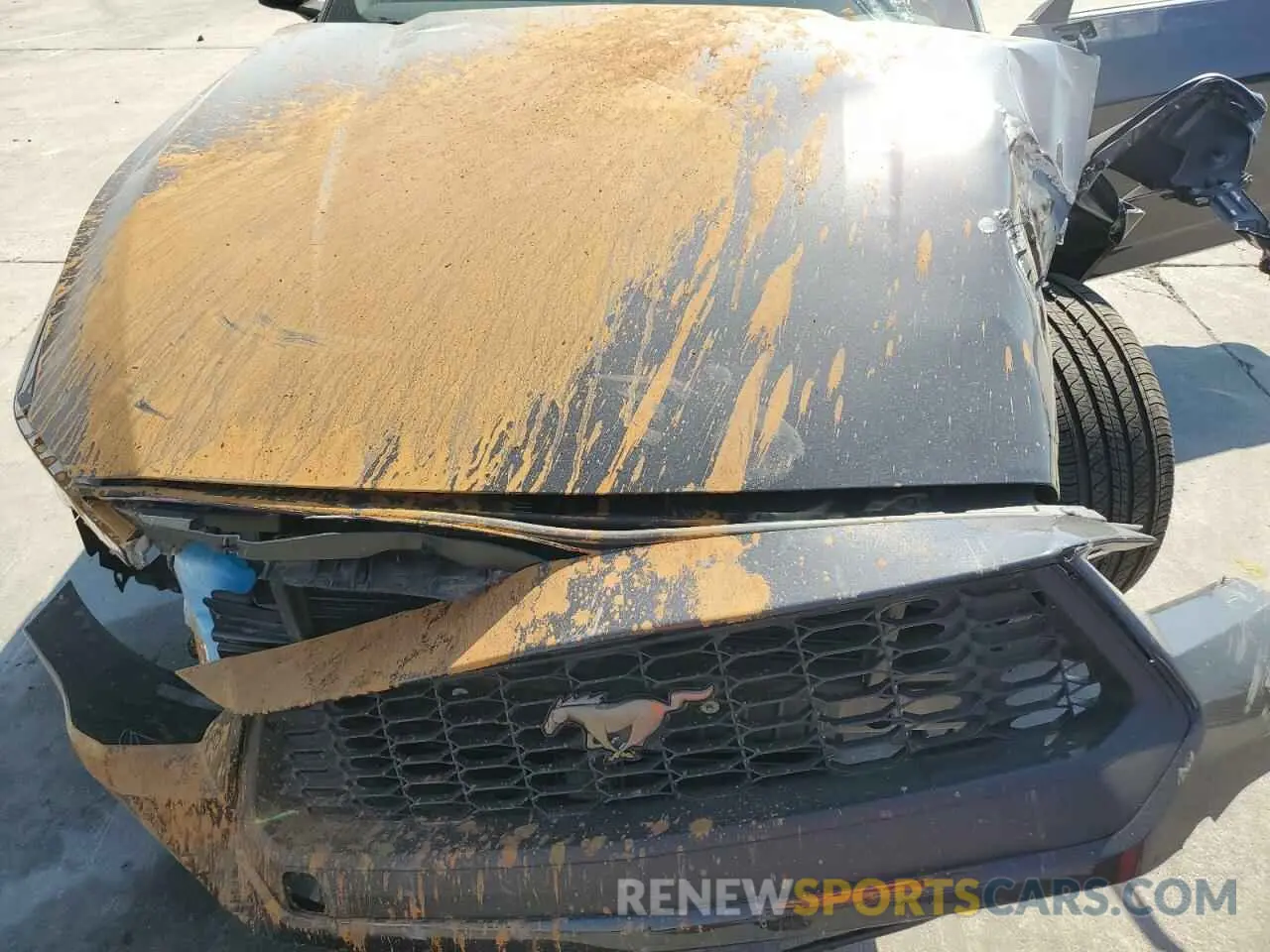13 fotografías del automóvil dañado 1FA6P8TH6R5130831 FORD ALL Models 2024